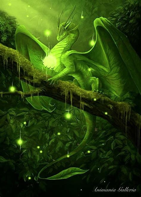 Aphaia, my female earth dragon | Dragon art, Dragon pictures, Mythical ...