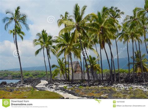 Hawaiian Heiau stock photo. Image of rocks, trees, gods - 102705392