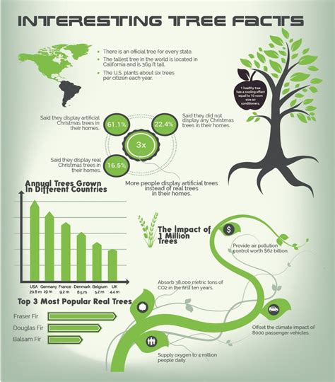 Interesting Tree Facts Infographic Facts About Plants Importance Of