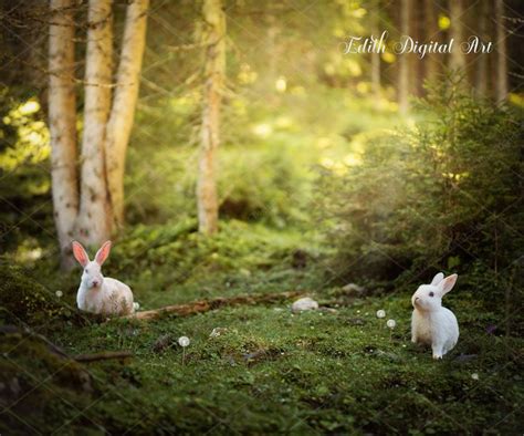 Spring Digital Background Easter Bunnies On Field Digital Backdrop