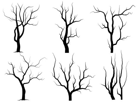 Black Branch Tree Or Naked Trees Silhouettes Set Hand Drawn Isolated Illustrations