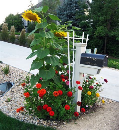 Mailbox Landscaping Ideas For The Best Curb Appeal