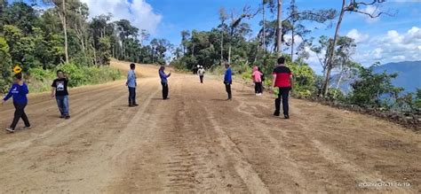 management  traditional forests   dayak community  krayan
