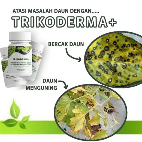 Jual Alfagreen Tricoderma Fungisida Pembasmi Jamur Pencegah Tan Obat