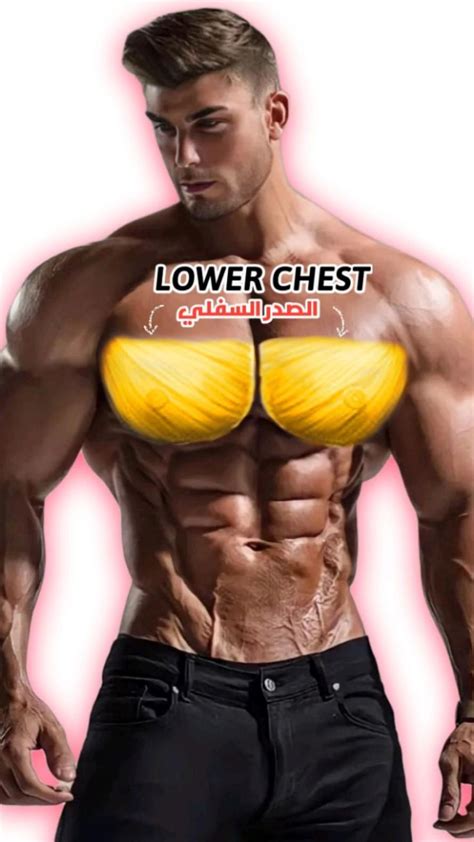 Best Lower Chest Exercises | Chest workout, Bodybuilding workouts routines, Lower chest workout