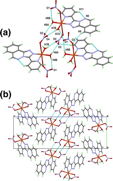 Hydrogen Bonds In The Crystal Structure A And Projection Of The