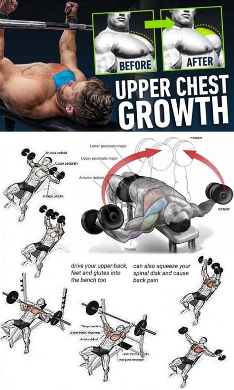 How to upper chest growth | Guide & Tips