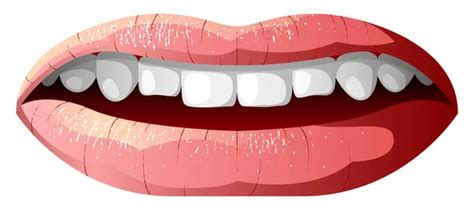 Cartoon Mouth Set Tongue Smile Teeth Expressive Emotions Simple Flat Stock Vector By