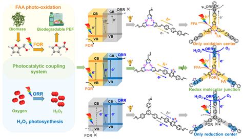兰亚乾教授课题组Angew Chem 氧化还原分子结COFs用于过氧化氢光合成耦合生物质氧化 X MOL资讯