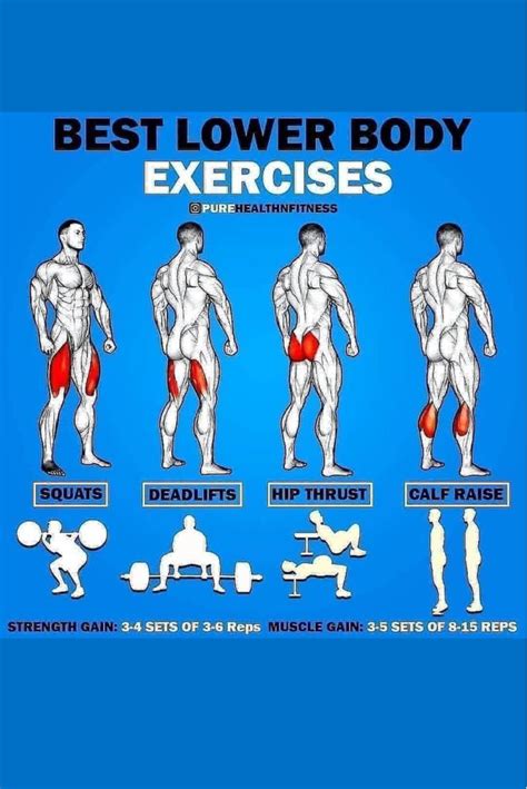 Best Lower Body Exercises Lower Body Workout Gym Fitness Body Gym Workouts For Men