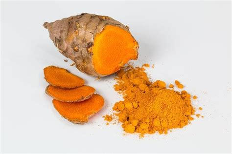 lingkaran manfaat tanaman kunyit curcuma longa