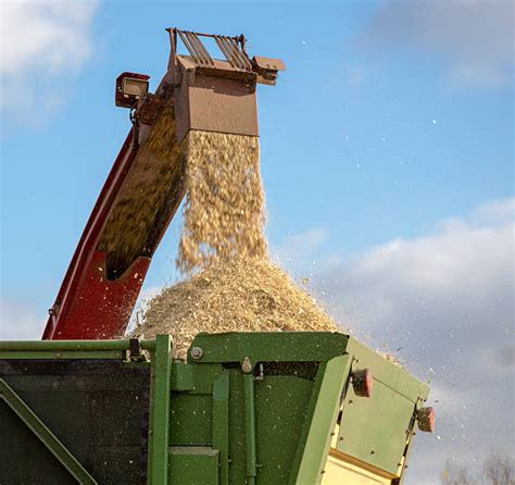 Wood Chipper Stock Photos Pictures And Royalty Free Images Istock