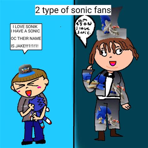 type  sonic fans  lalaloopsygirl  deviantart
