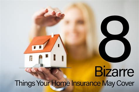 8 Bizarre Things Your Home Insurance May Cover – ICA Agency Alliance, Inc.