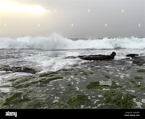 Atlantic Waves Crashing Over Rocks Stock Photo Alamy