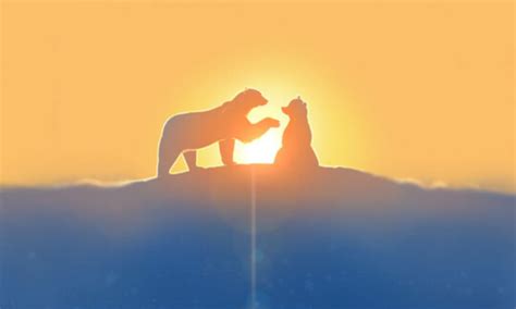 Acclaimed Animator Aaron Blaise Brings Solo Short Snow Bear To Taafi