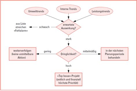 Konzept Des Strategischen Managements Und Informationsanalyse