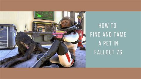 How To Find And Tame A Pet In Fallout