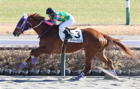 【新馬戦】ジーティーアグリム 後続3馬身差をつける快逃デビューv 奥平師「今後は気持ちの面が鍵」 ライブドアニュース