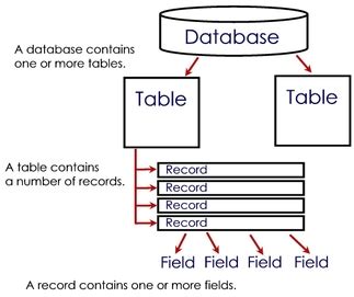 Hierarchy of Data - Database Management (Chapter 9)