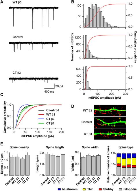 Postsynaptic Expression Of B3 Integrins Alters MEPSC Amplitude A