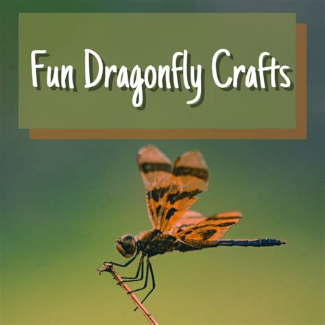 26 Beautiful Dragonfly Craft Ideas Feltmagnet