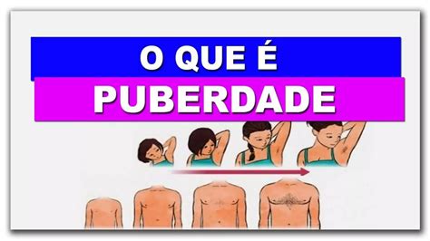 8 ano puberdade e adolescência PPT