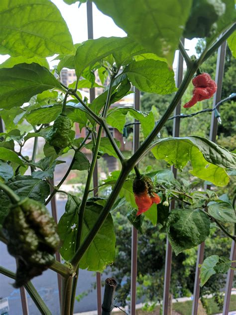 Things Are About To Get Hot Around Here R Spicy