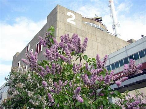 На Запорожской АЭС разгрузили энергоблок №2 | Новини