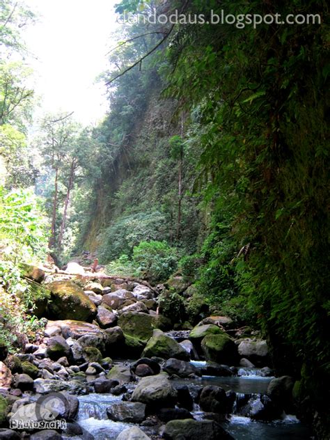 Taman Hutan Raya Bukit Barisan