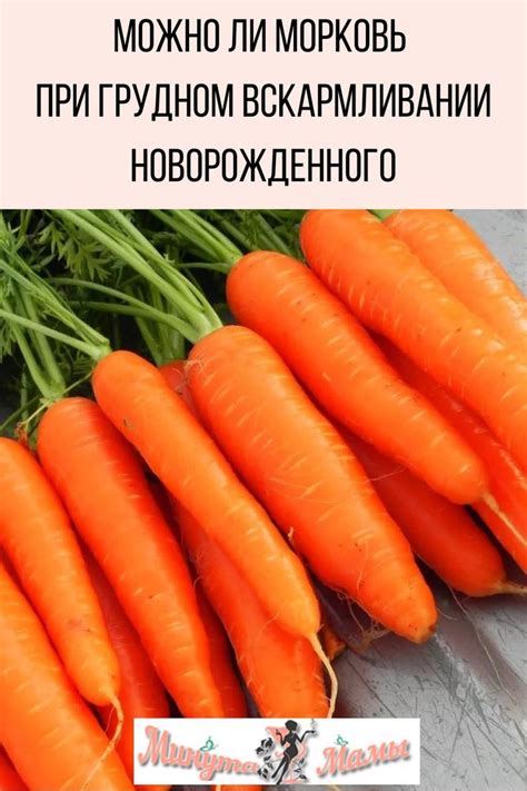 Морковь при грудном вскармливании новорожденного