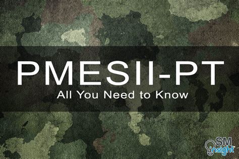 PMESII-PT Explained: In-Depth Guide - SM Insight