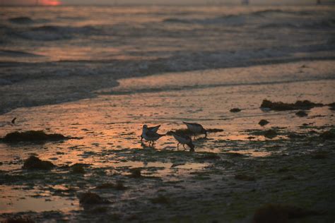 An easy guide to navigating Virginia General District Court case information 3