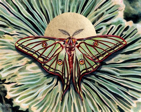 moth art butterfly art  wall art  insect lovers  copper wolf
