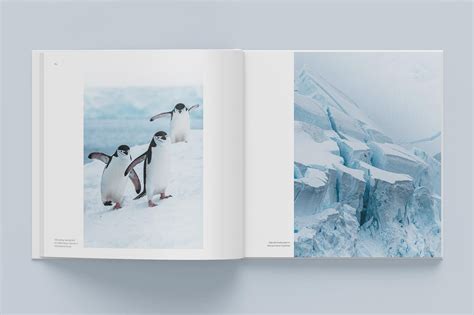 Antarctica Photo Book Sailing Expedition With The Bark Europa