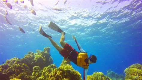 Cozumel El Cielo Snorkeling – Awesomecancun