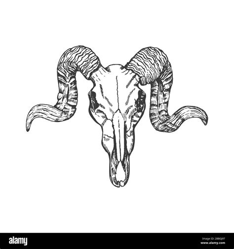 European Deer Skull Tattoos
