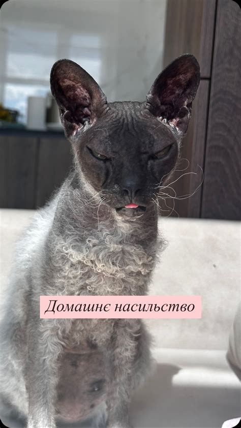 Анастасія | З п’яти відзнятих випусків «Сором на паузі» саме випуск про