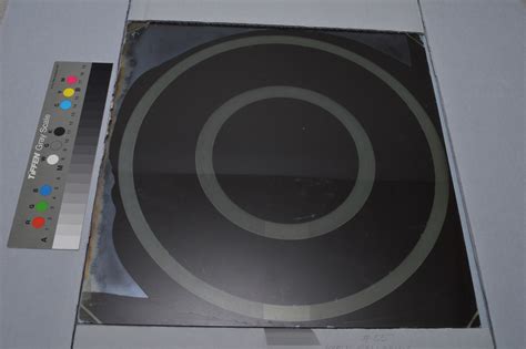 horse galloping  phases national museum  american history