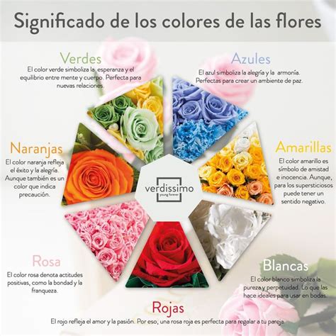 Las Rosas Son Una De Las Flores Con Más Significados Son El Símbolo Del Amor De La Du