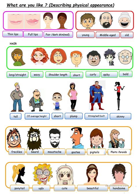 Características Físicas Em Inglês - Caracteristicas Fisicas Em Ingles - NAZAEDU