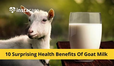 10 Surprising Health Benefits Of Goat Milk