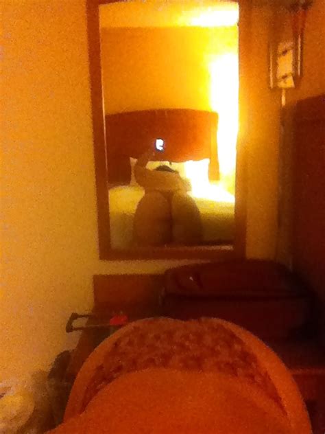 Madison Wisconsin Ass And Pussy And Tits Porn Pictures XXX Photos Sex Images PICTOA