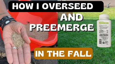 How To Overseed And Pre Emerge In The Fall And The Best Fertilizers To Use Youtube