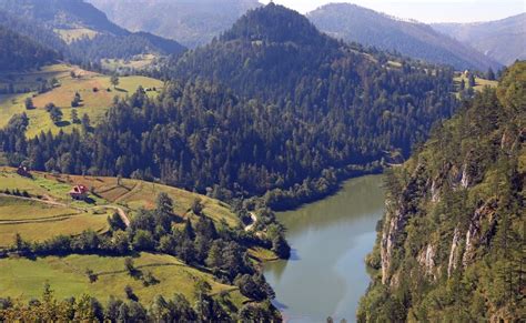 Planine Za Odmor U Srbiji Iskusite Planinski Turizam