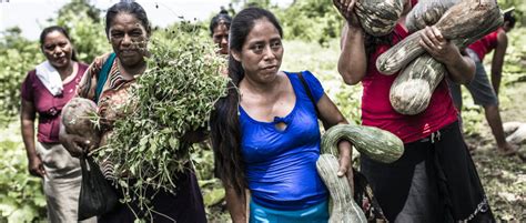 Las Mujeres En Primera L Nea En La Lucha Por Tierra Y Territorio We