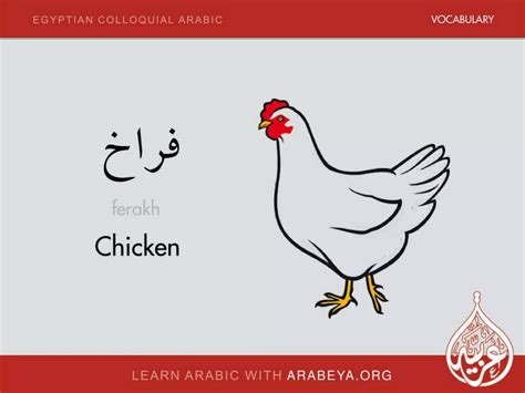 Egyptian Colloquial Arabic Vocabulary 5