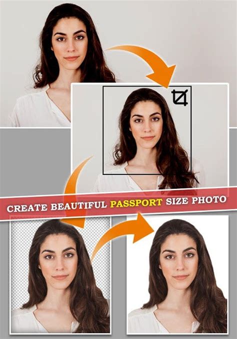 Passport Size Photo Editor Apk For Android Download