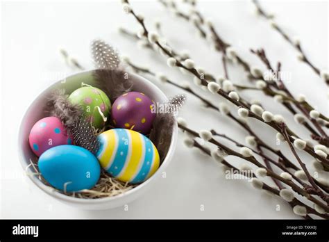 Colored Easter Eggs And Pussy Willow Branches Stock Photo Alamy