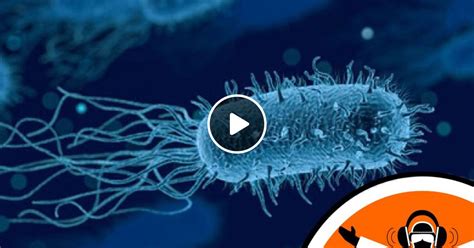 Antimicrobial Resistance And Future Plastics By Naked Scientists Special Editi Mixcloud